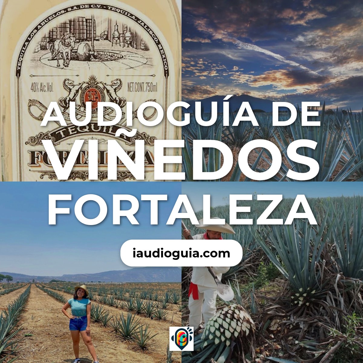 Audioguía de Vinedos Fortaleza