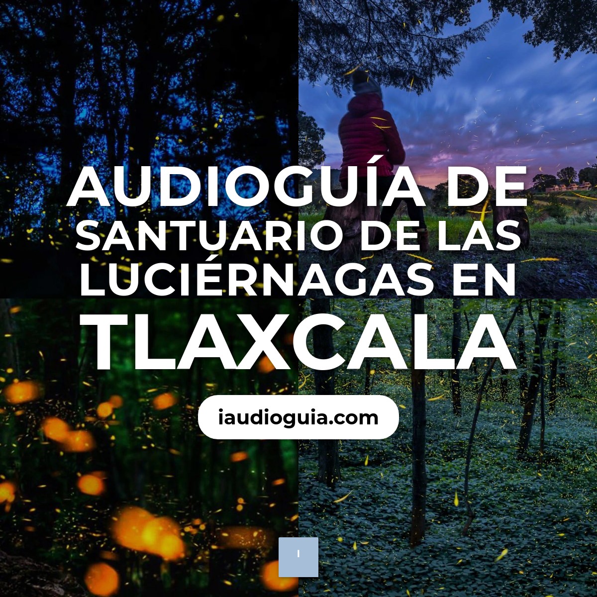 Audioguía de Santuario Luciernagas