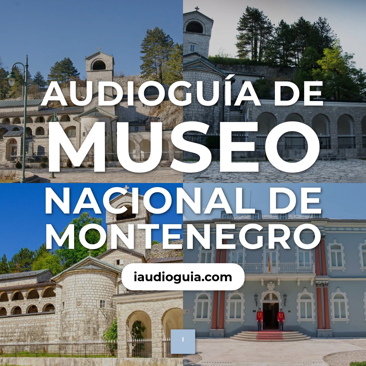 Audioguía de Museo Nacional Montenegro