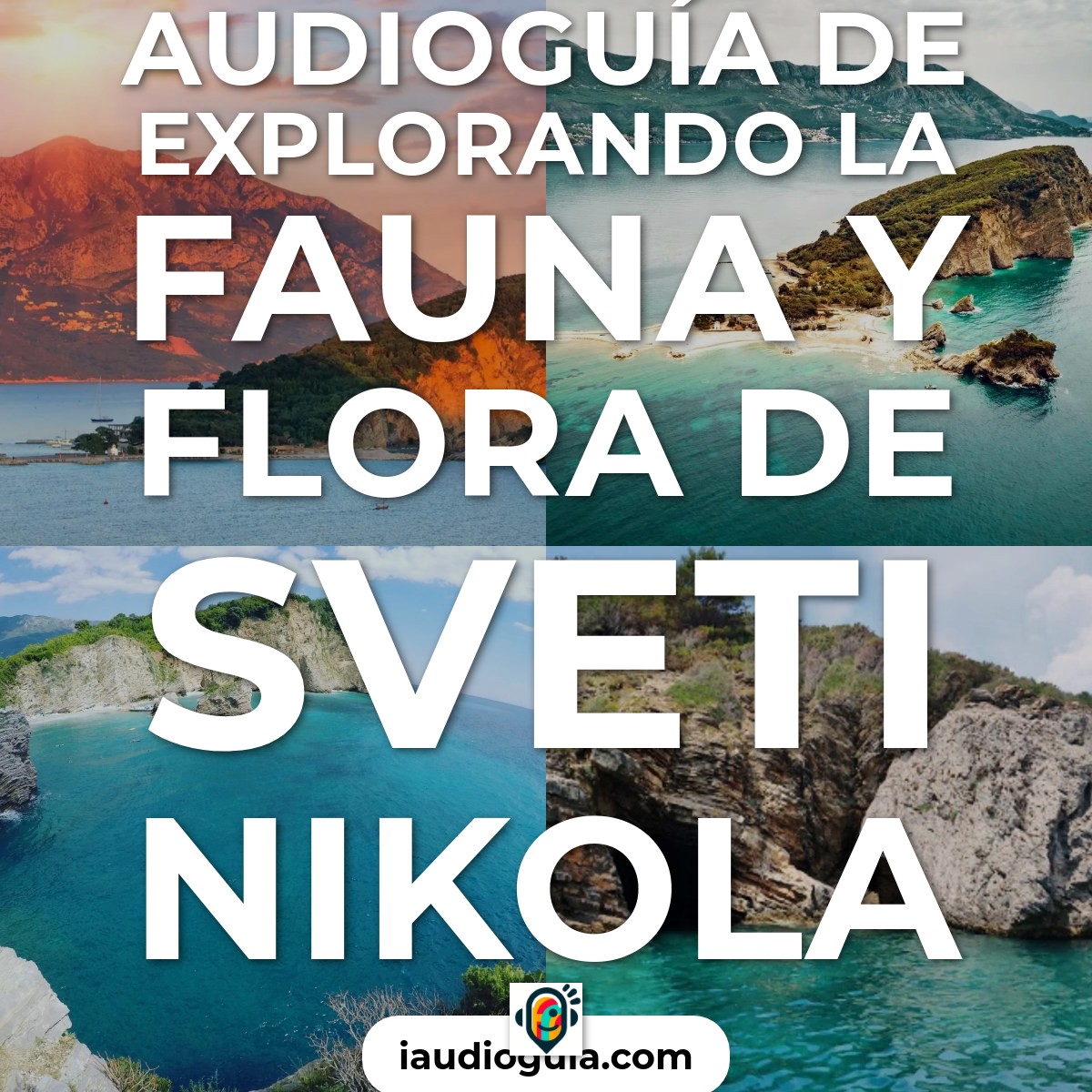 Explorando la Fauna y Flora de Sveti Nikola