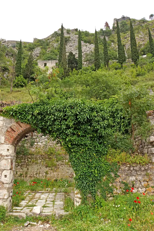Audioguía de Bus Stop To Kotor