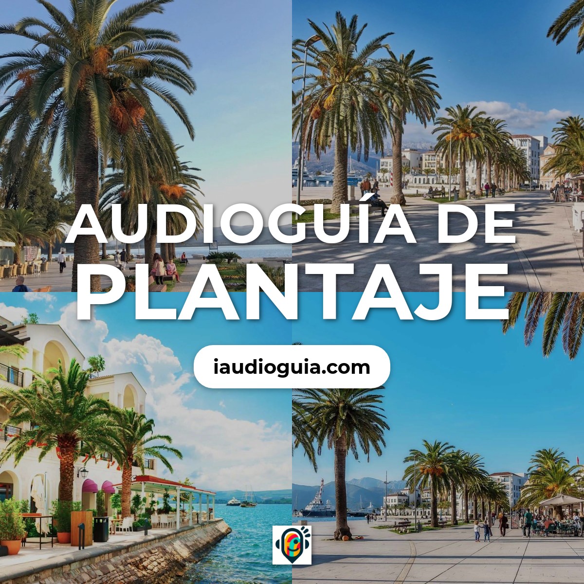 Audioguía de Plantaze
