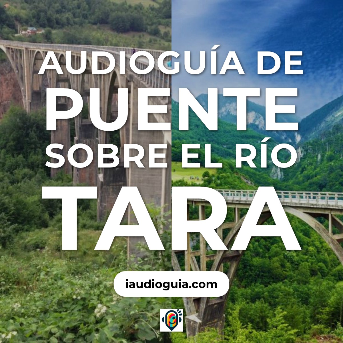 Puente sobre el Río Tara