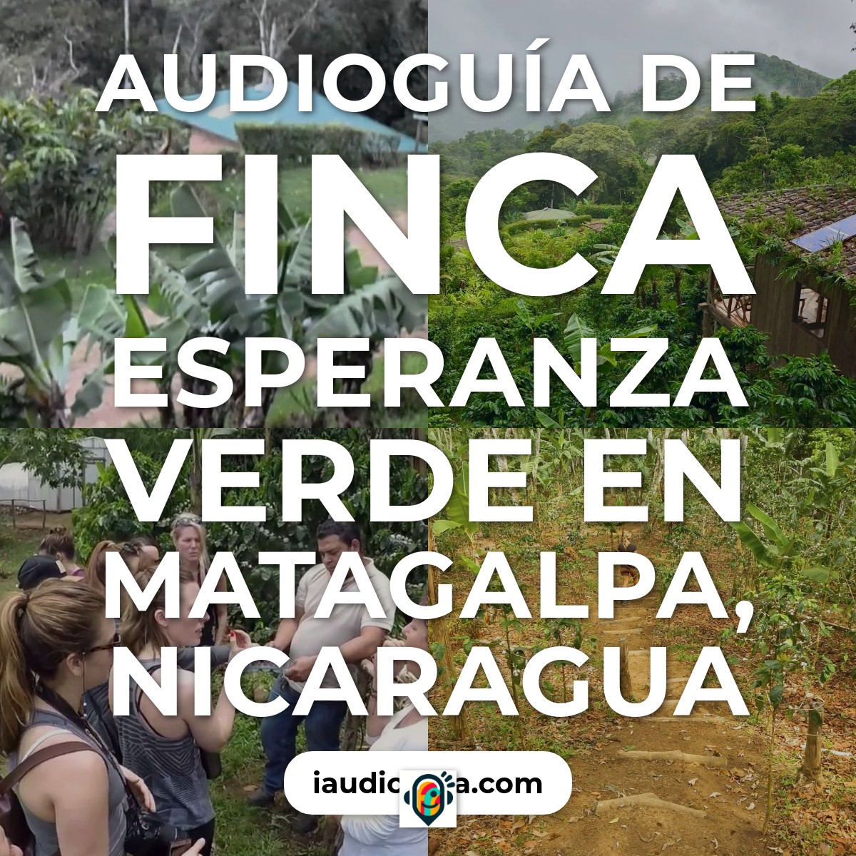 Audioguía de Finca Esperanza Verde