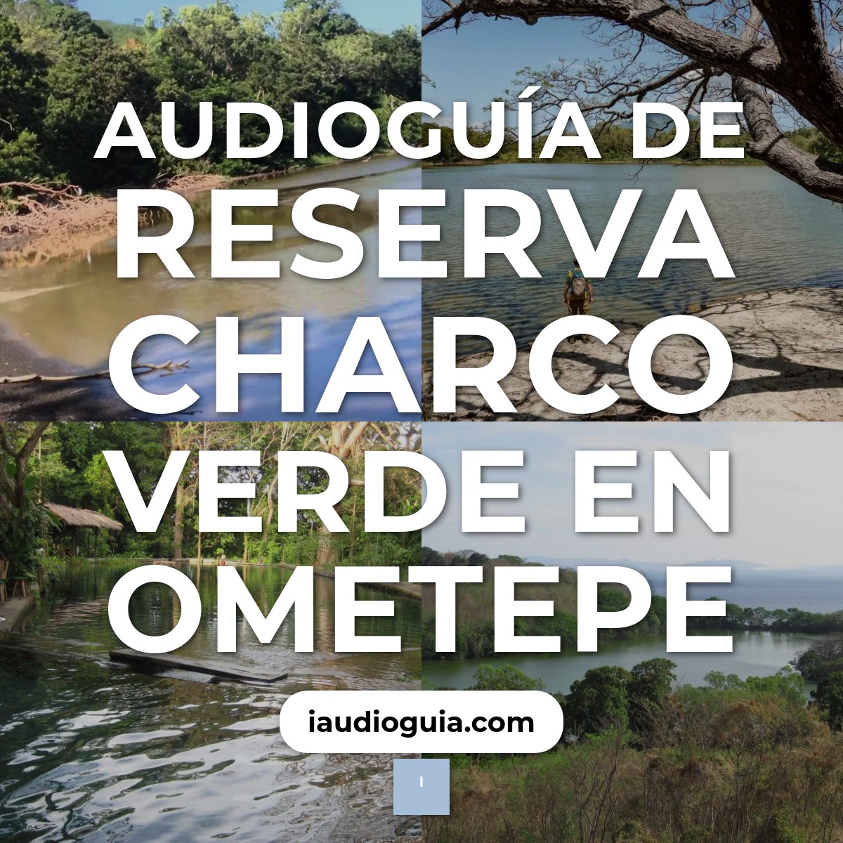 Audioguía de Reserva Charco Verde