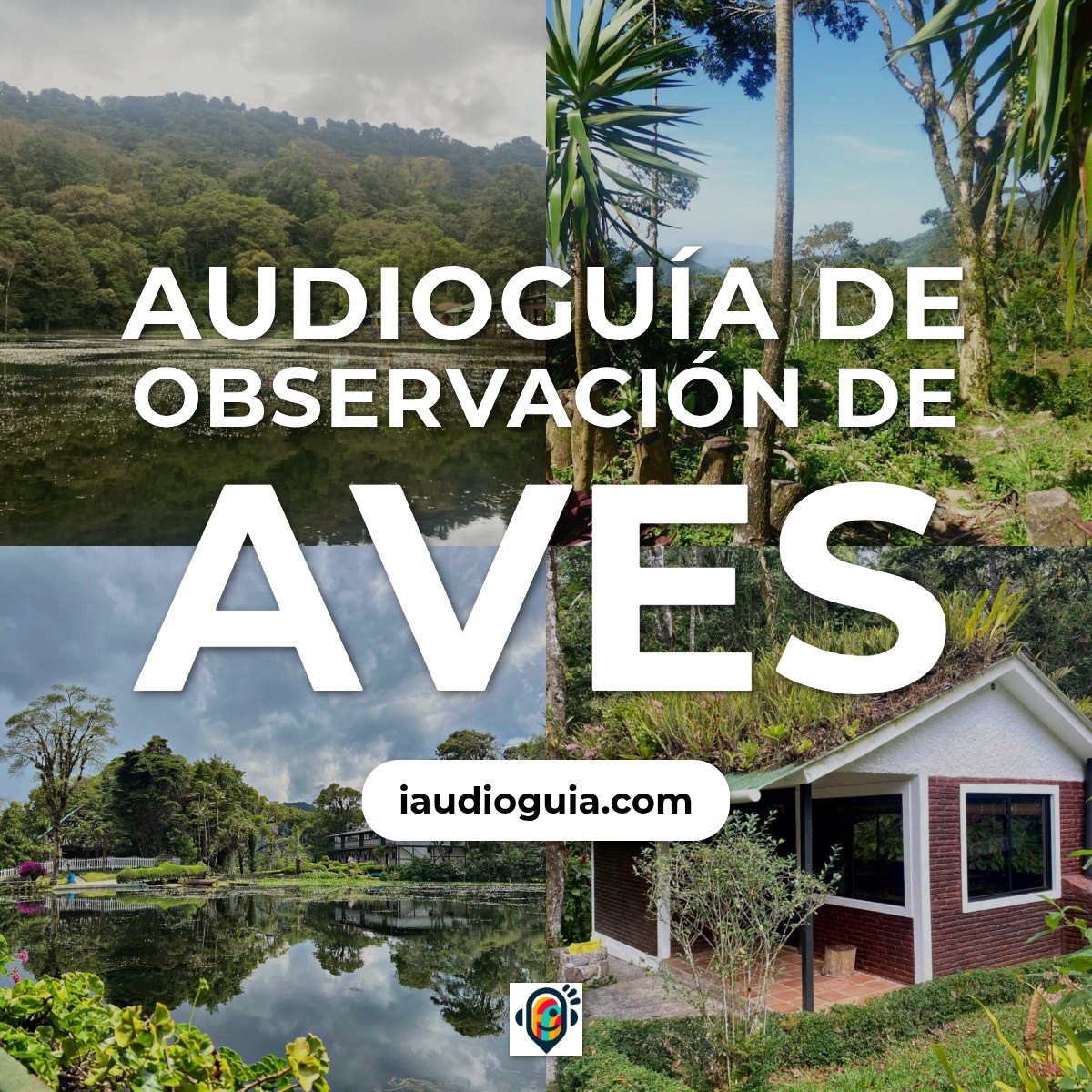 Audioguía de Selva Negra