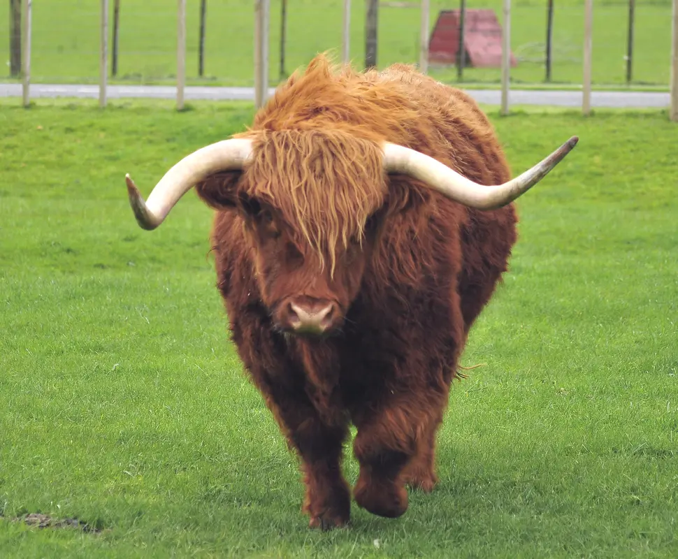 Agrodome