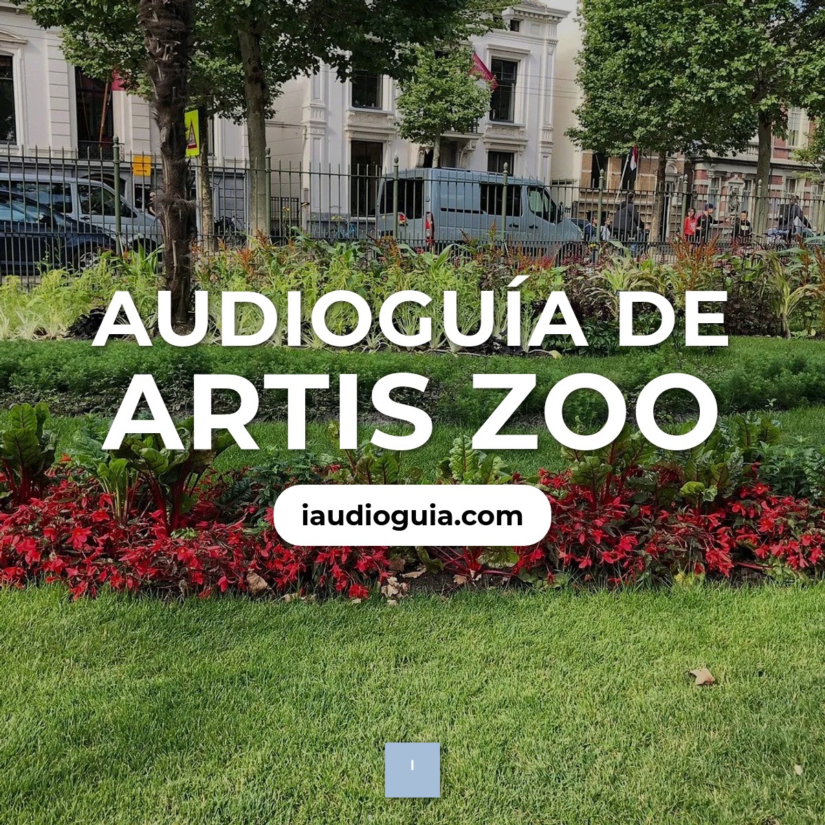 Audioguía de Artis Zoo
