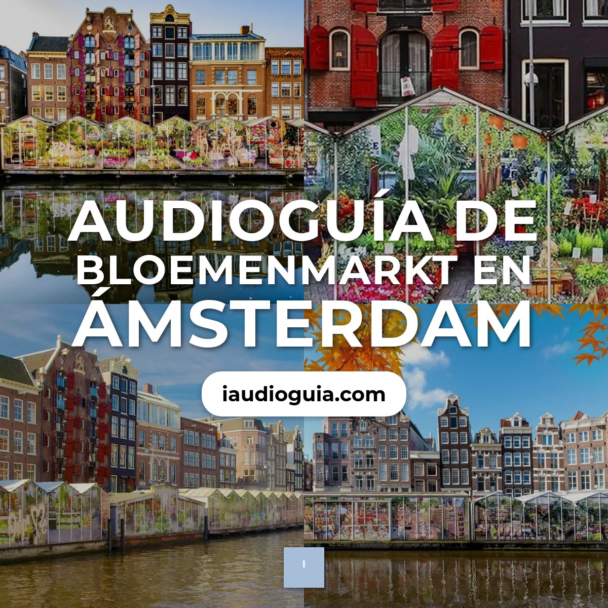 Audioguía de Bloemenmarkt