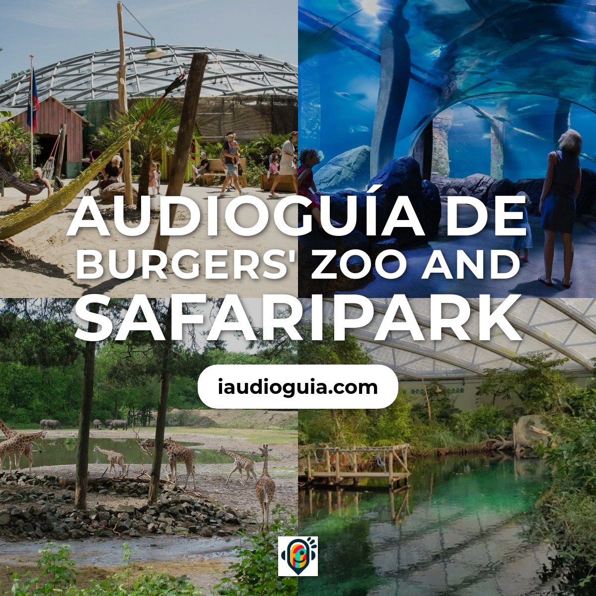 Audioguía de Burgers Zoo And Safaripark