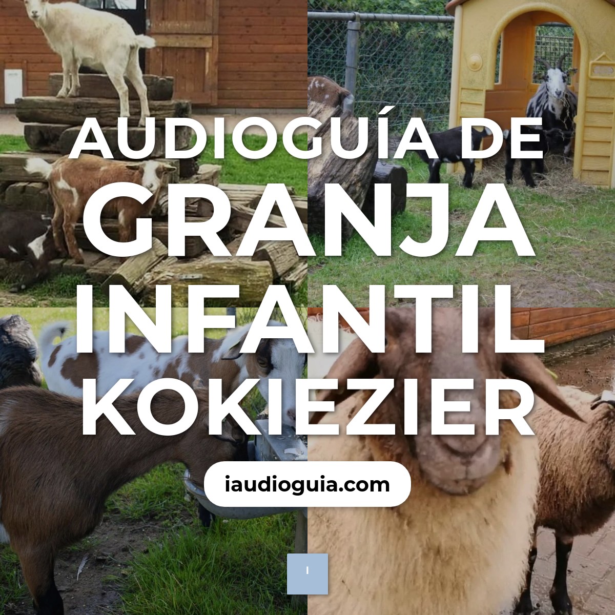 Audioguía de Kinderboerderij Kokiezier