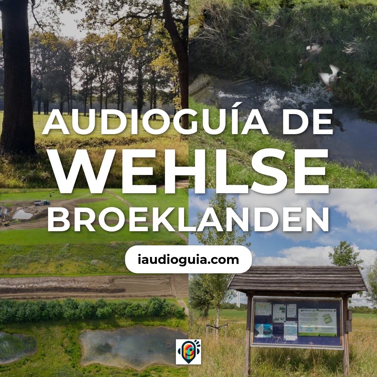 Audioguía de Wehlse Broeklanden