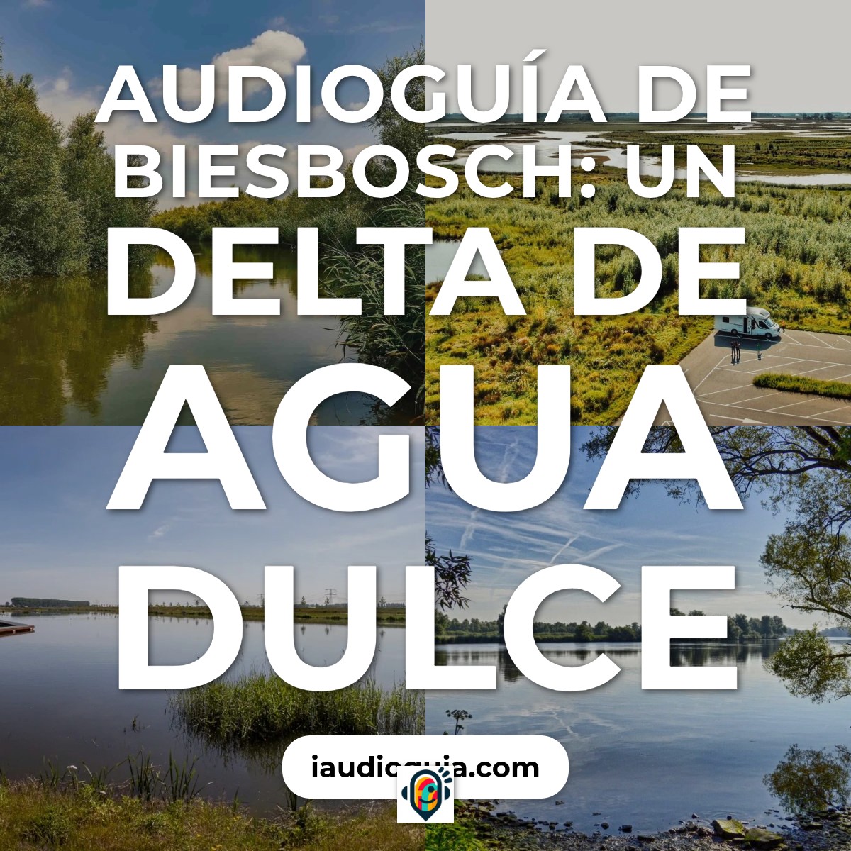 Audioguía de Parque Nacional Biesbosch