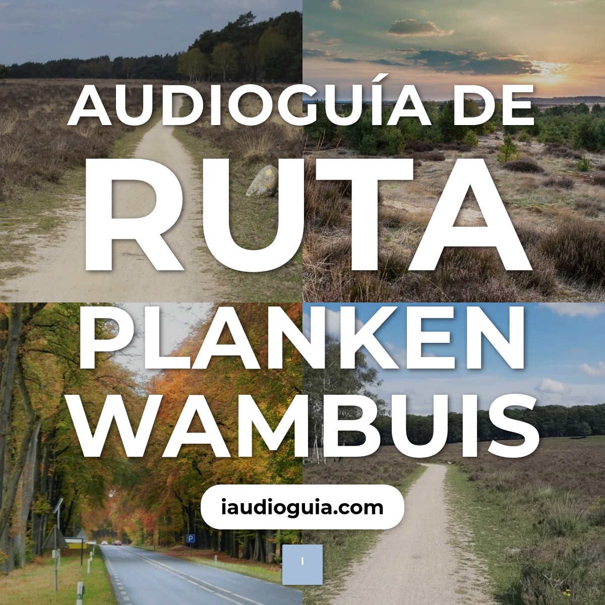 Audioguía de Natuurmonumenten Route Planken Wambuis