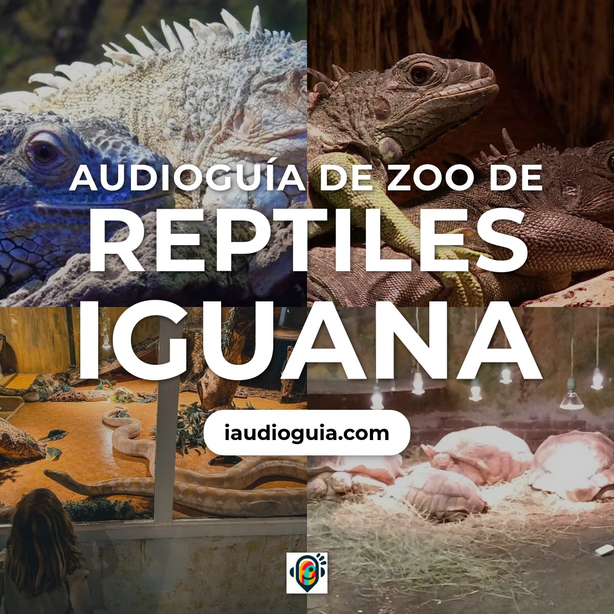 Audioguía de Reptielenzoo Iguana
