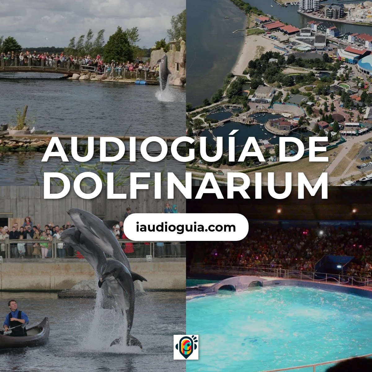 Audioguía de Dolfinarium