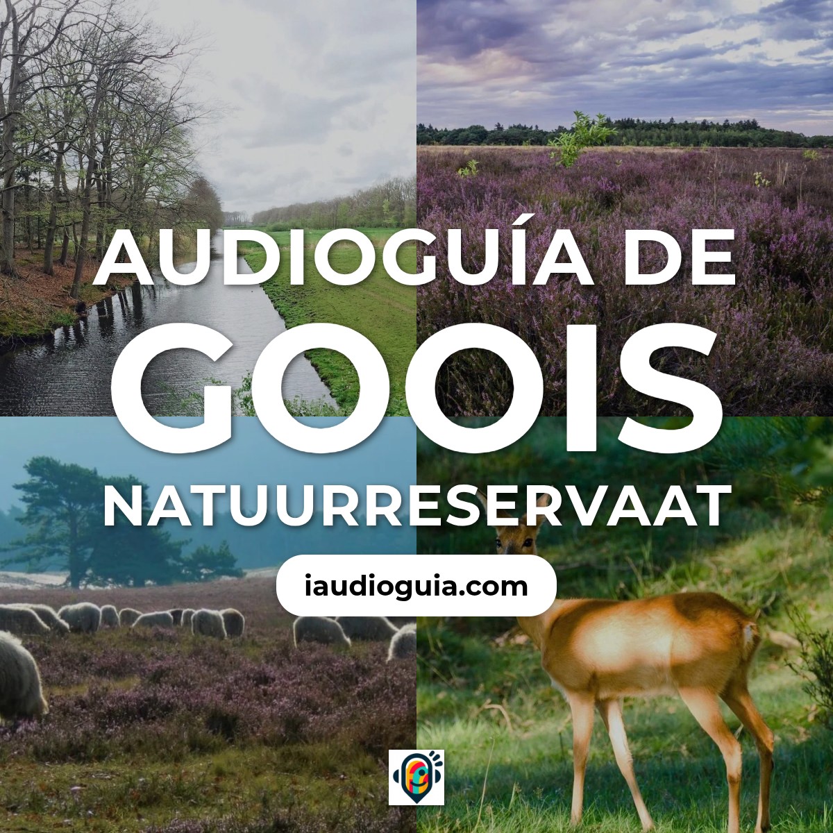 Audioguía de Goois Natuurreservaat