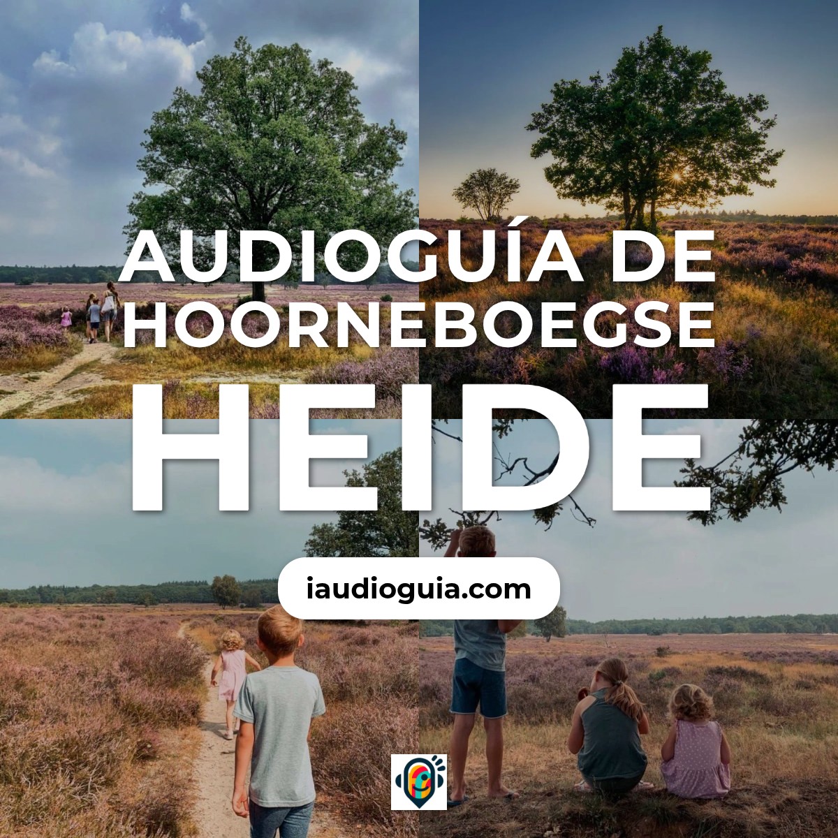 Audioguía de Hoorneboegse Heide