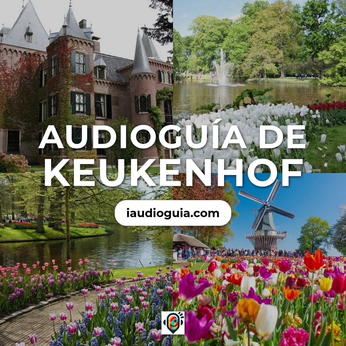 Audioguía de Exposicion Flores Keukenhof