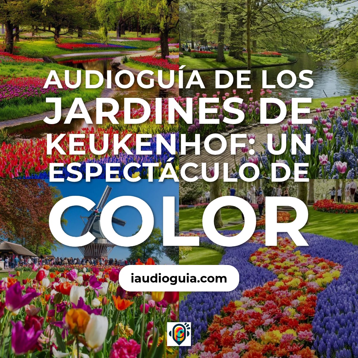 Los Jardines de Keukenhof: Un Espectáculo de Color