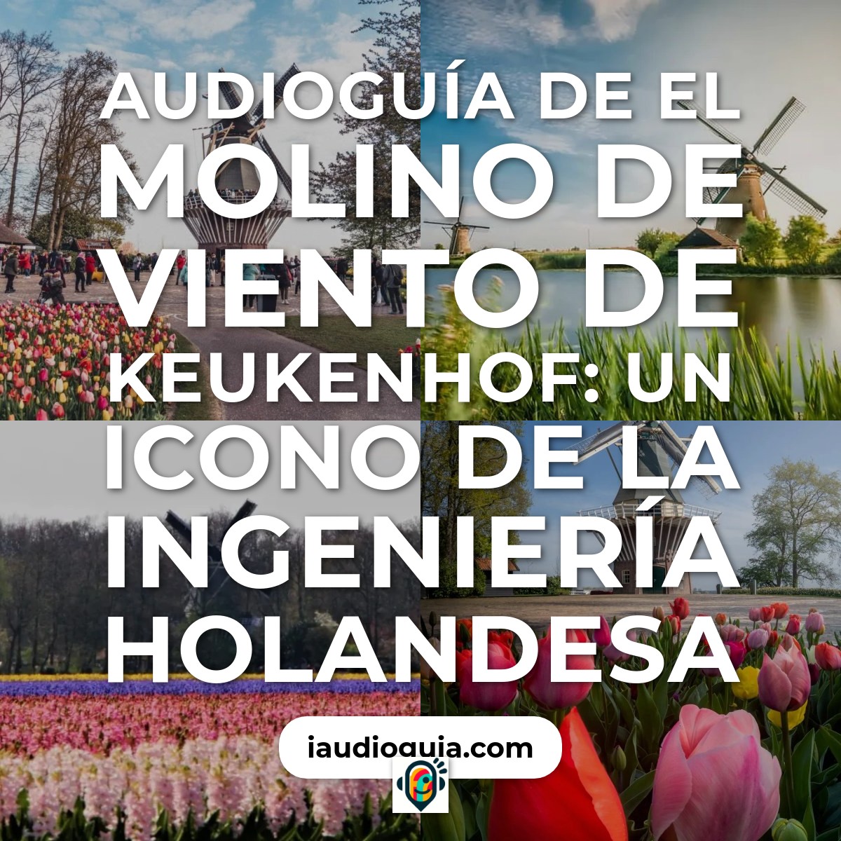 Audioguía de Molino Viento Keukenhof