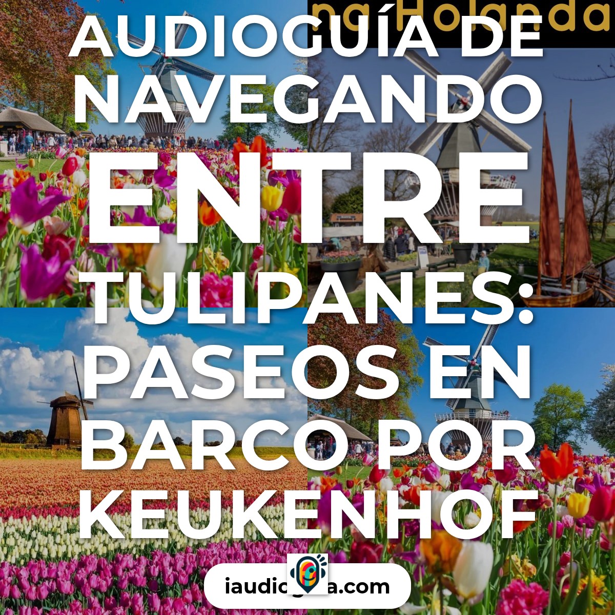 Navegando entre Tulipanes: Paseos en Barco por Keukenhof