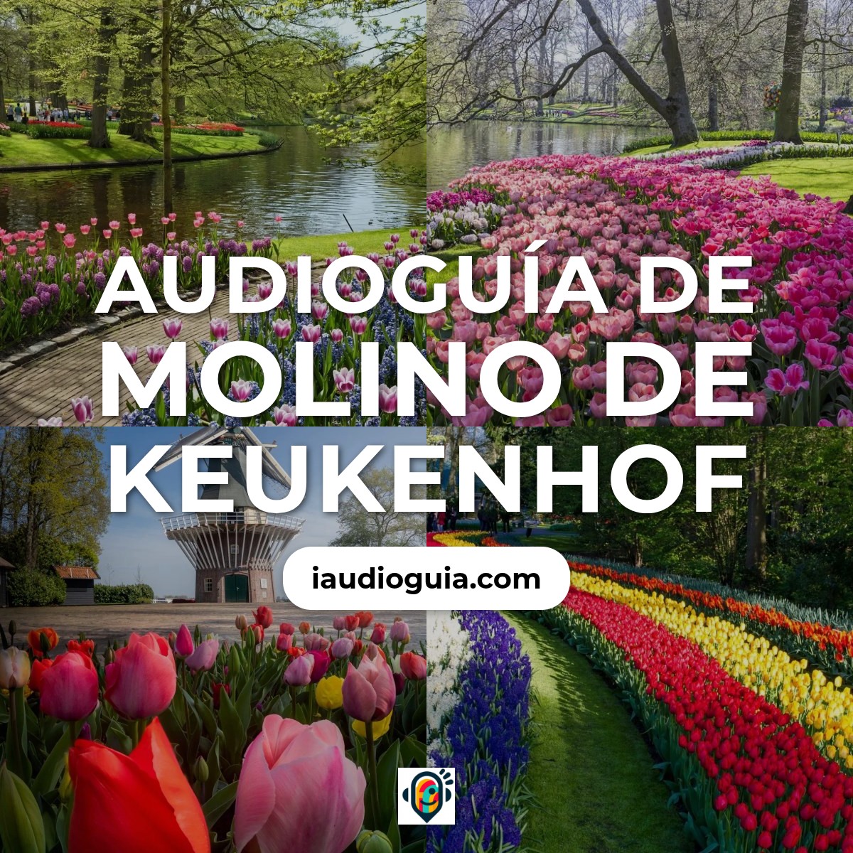 Molino de Keukenhof