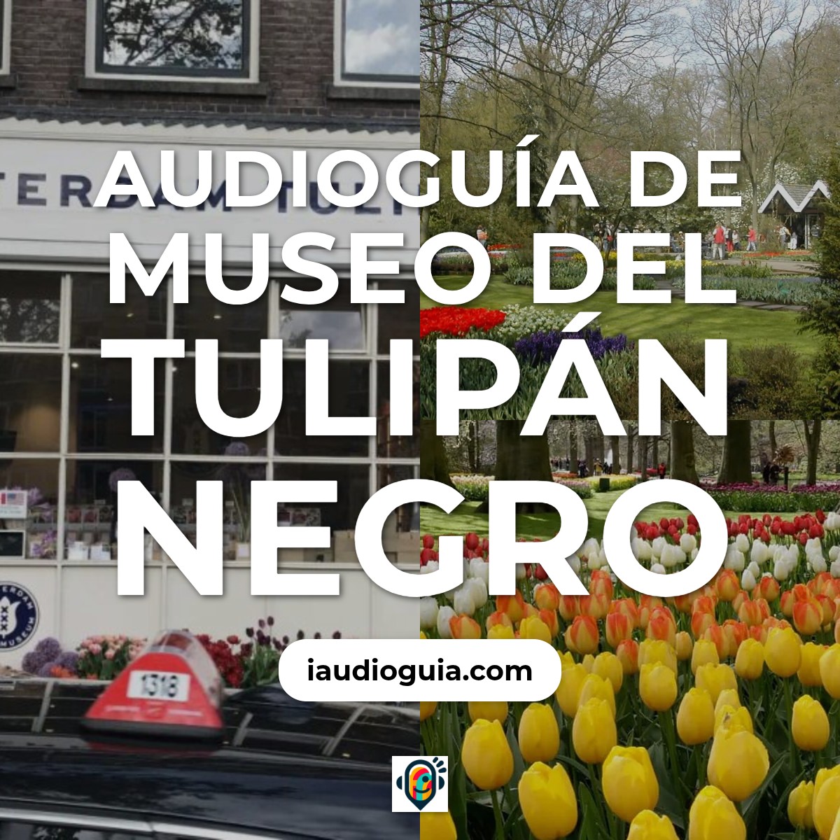 Audioguía de Museo Del Tulipan Negro