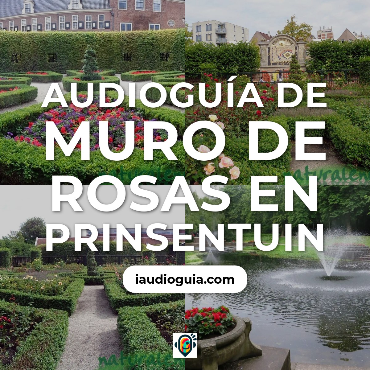 Audioguía de Muro Rosas