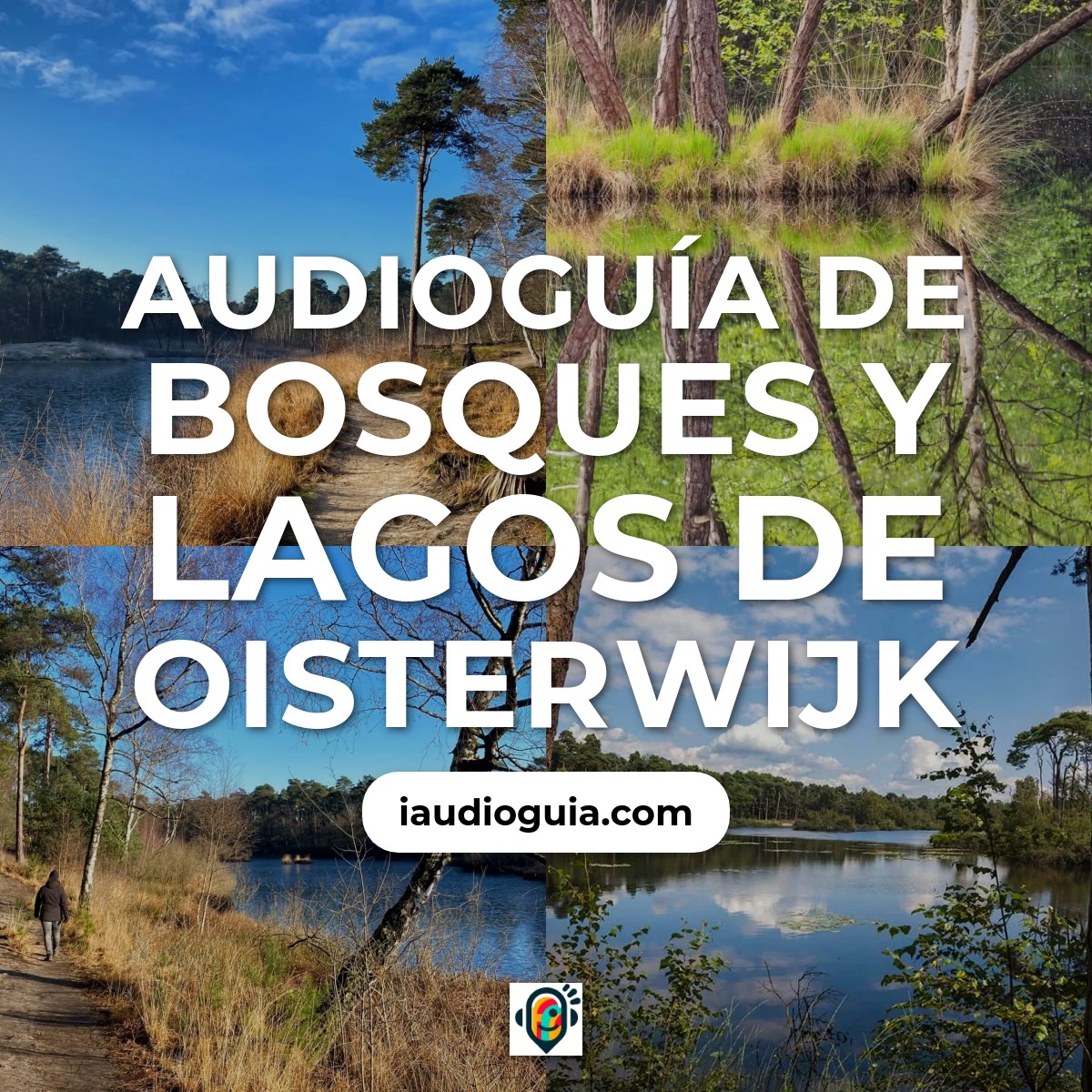 Audioguía de Oisterwijkse Bossen En Vennen