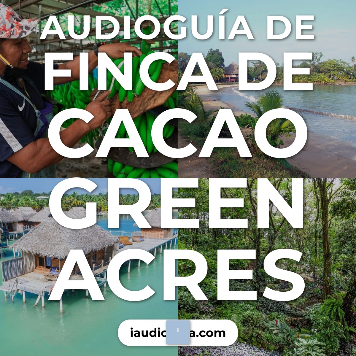 Audioguía de Finca Cacao Green Acres