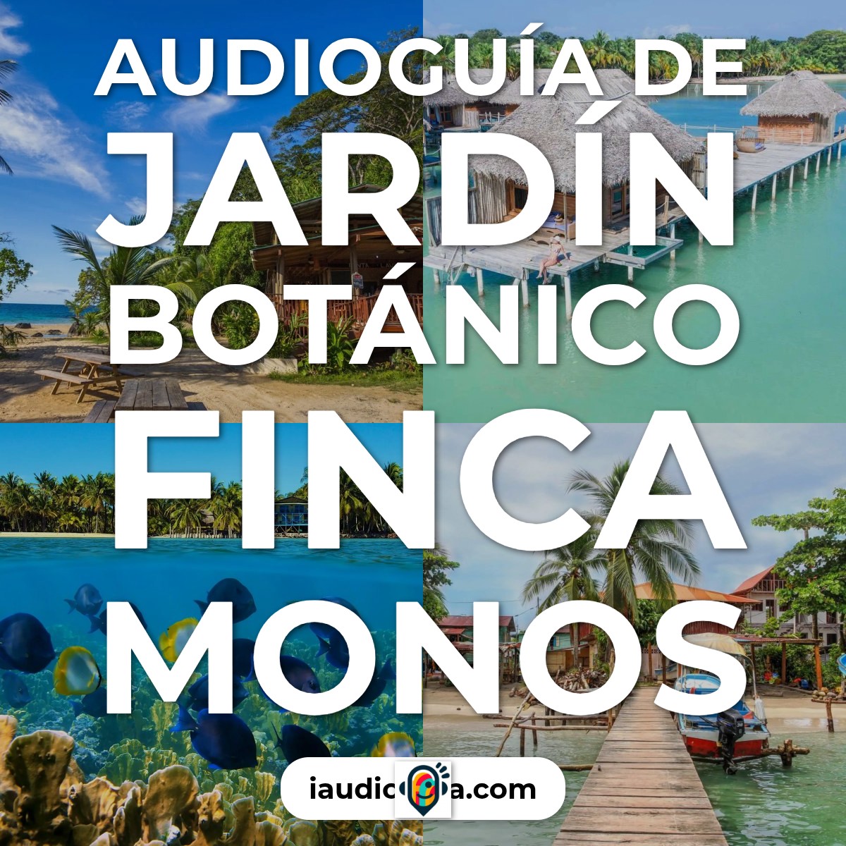 Audioguía de Jardin Botanico Finca Monos