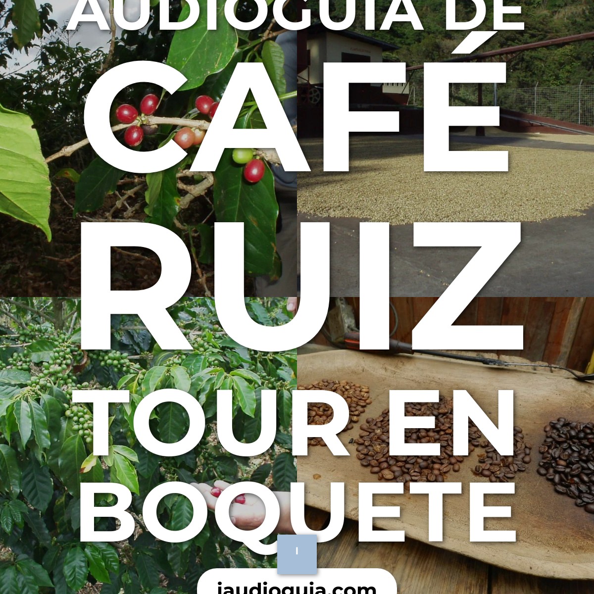 Audioguía de Café Ruiz Tour en Boquete