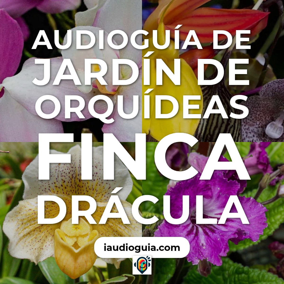 Audioguía de Jardin Orquideas Finca Dracula