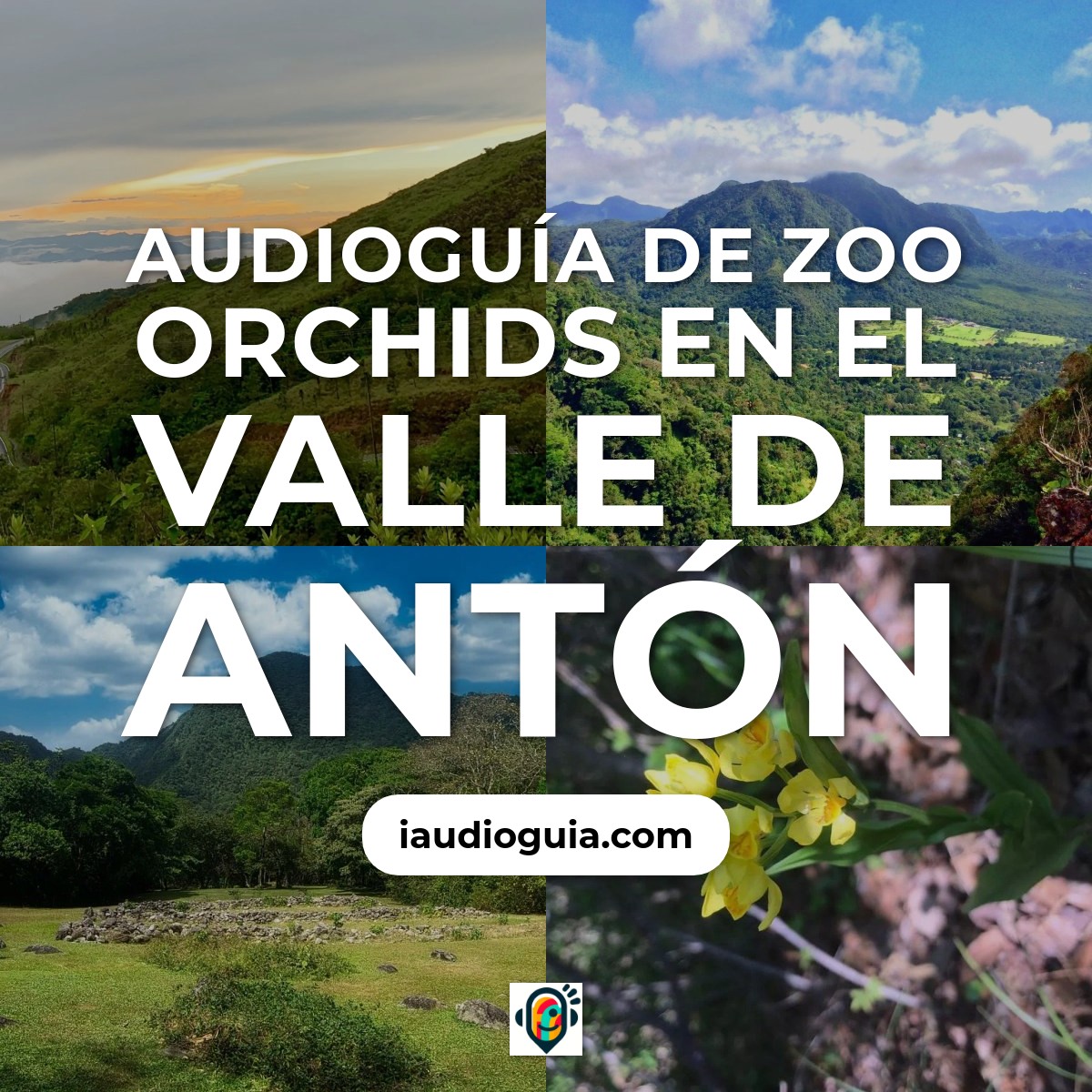 Audioguía de Zoo Orchids