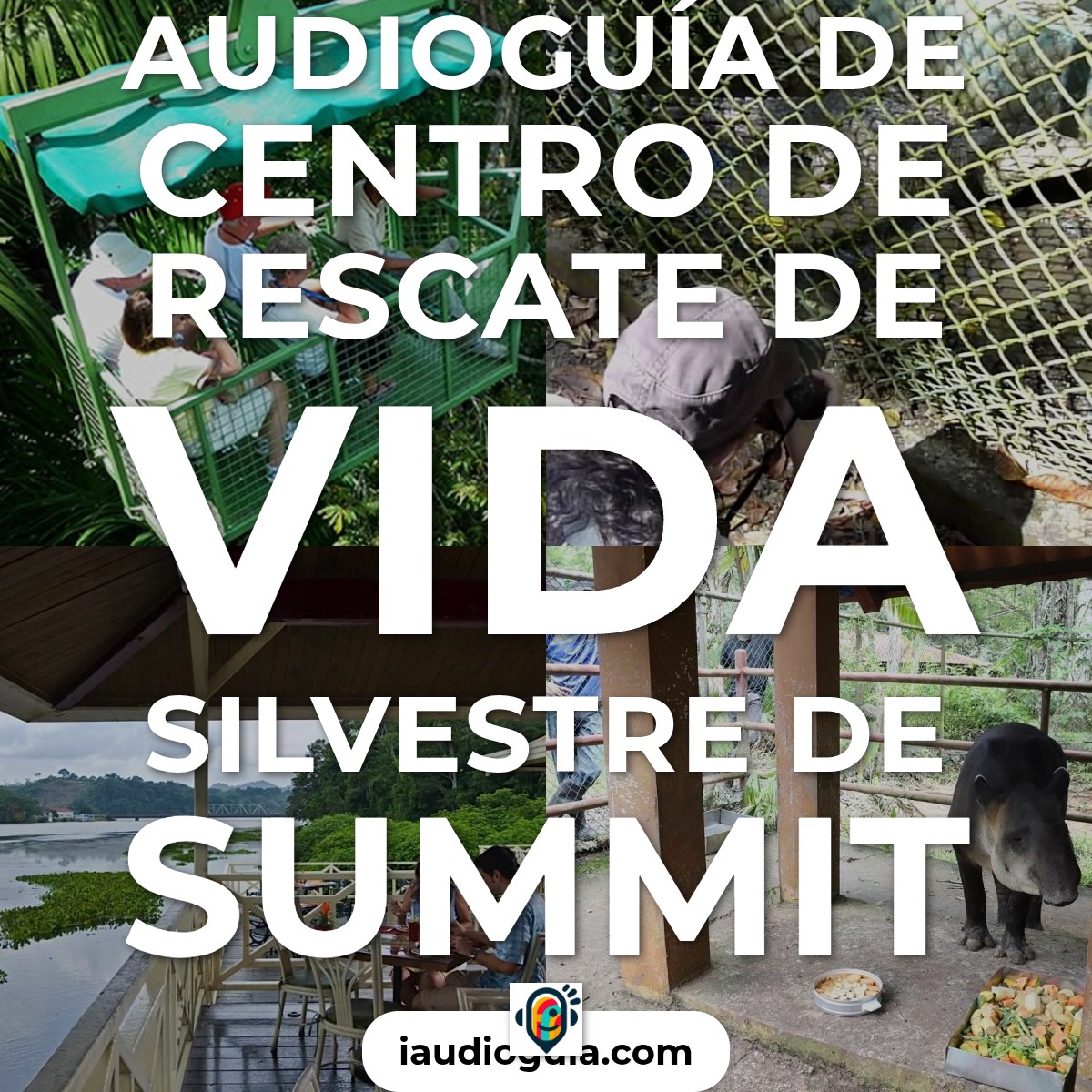 Audioguía de Centro Rescate Vida Silvestre Summit