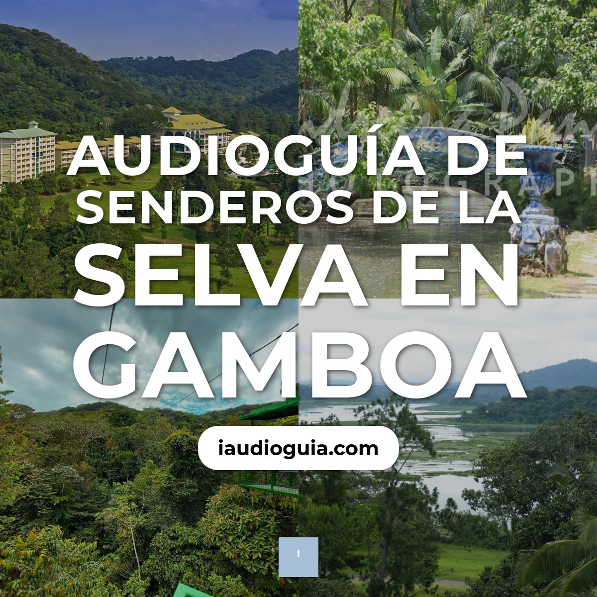 Audioguía de Senderos Selva