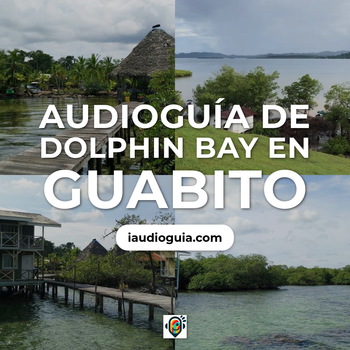 Audioguía de Dolphin Bay