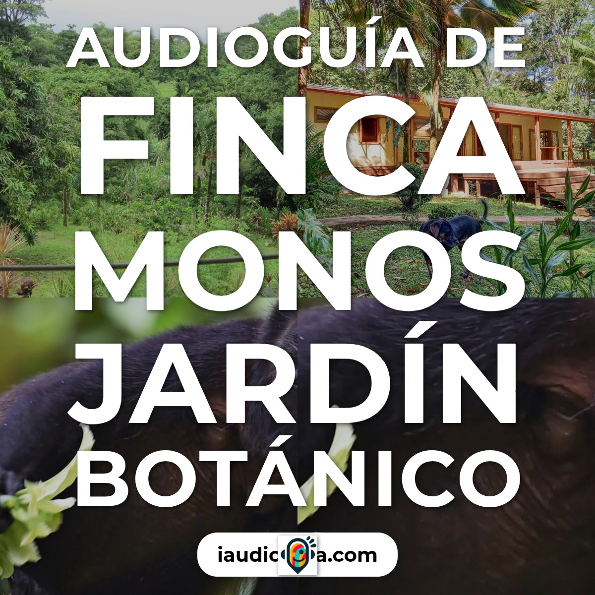 Audioguía de Finca Monos Botanical Garden
