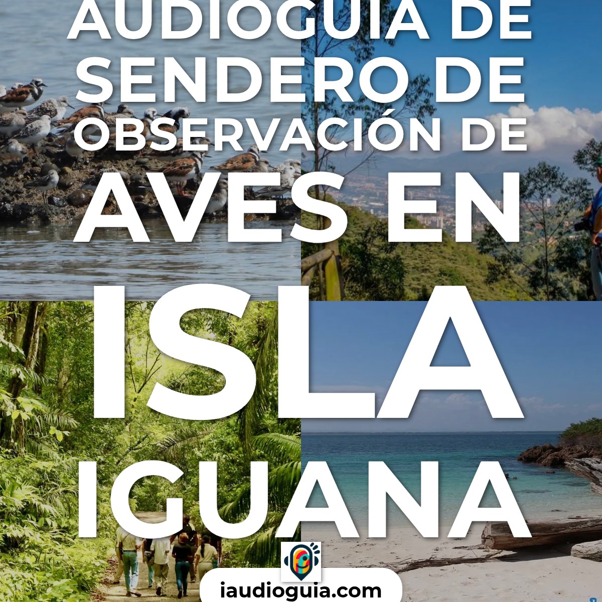 Audioguía de Sendero Observacion Aves