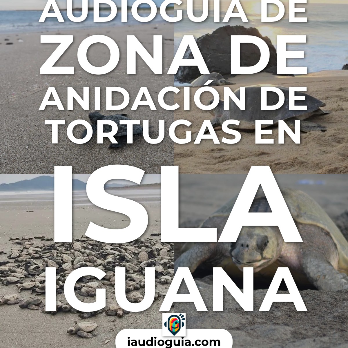Audioguía de Zona Anidacion Tortugas