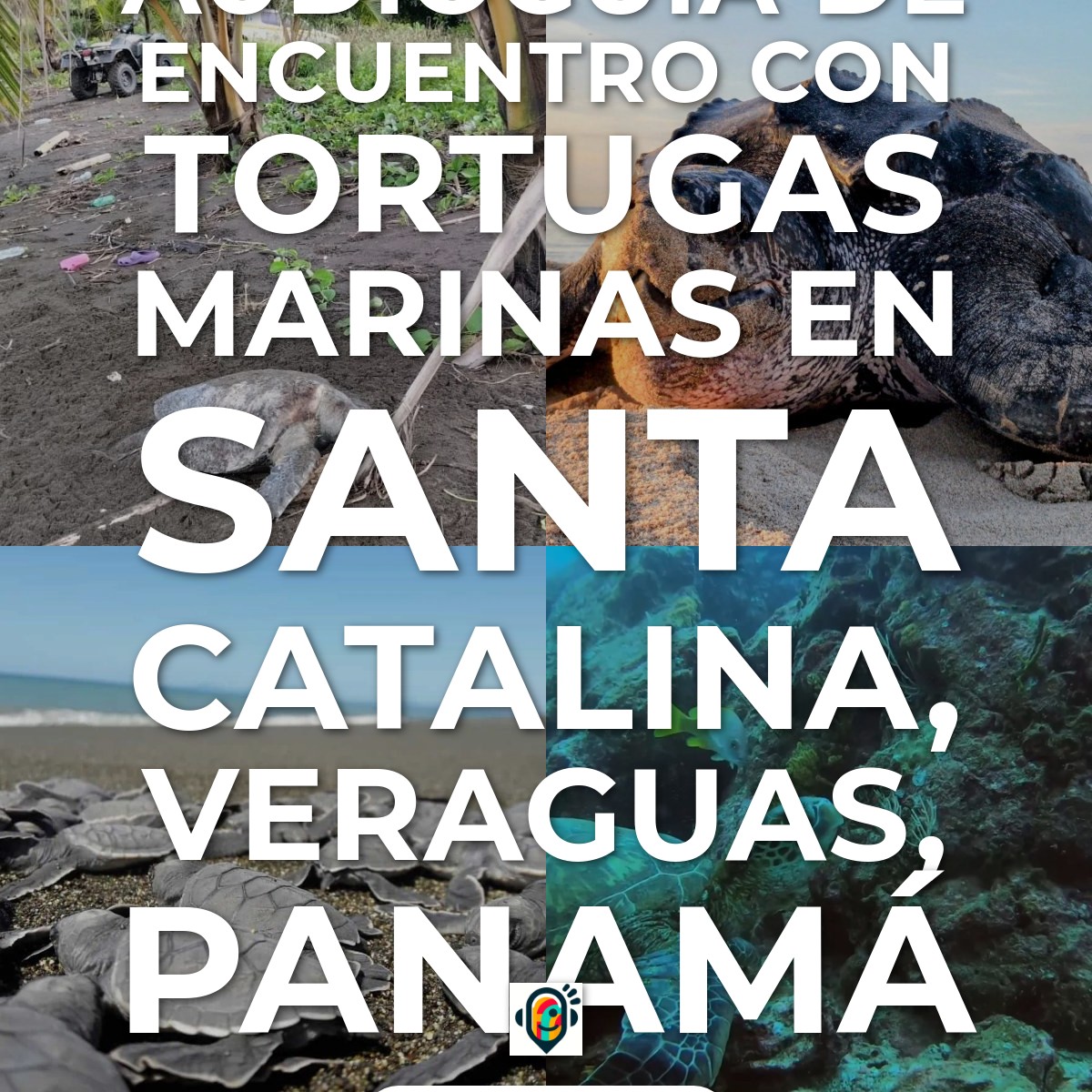 Audioguía de Encuentro Con Tortugas Marinas