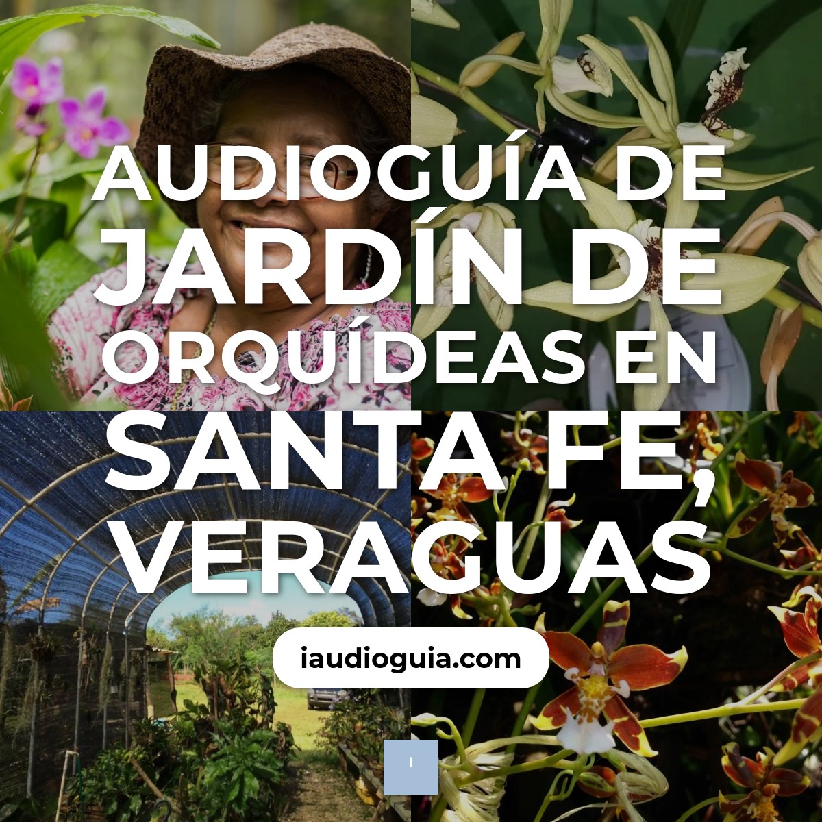Audioguía de Jardin Orquideas
