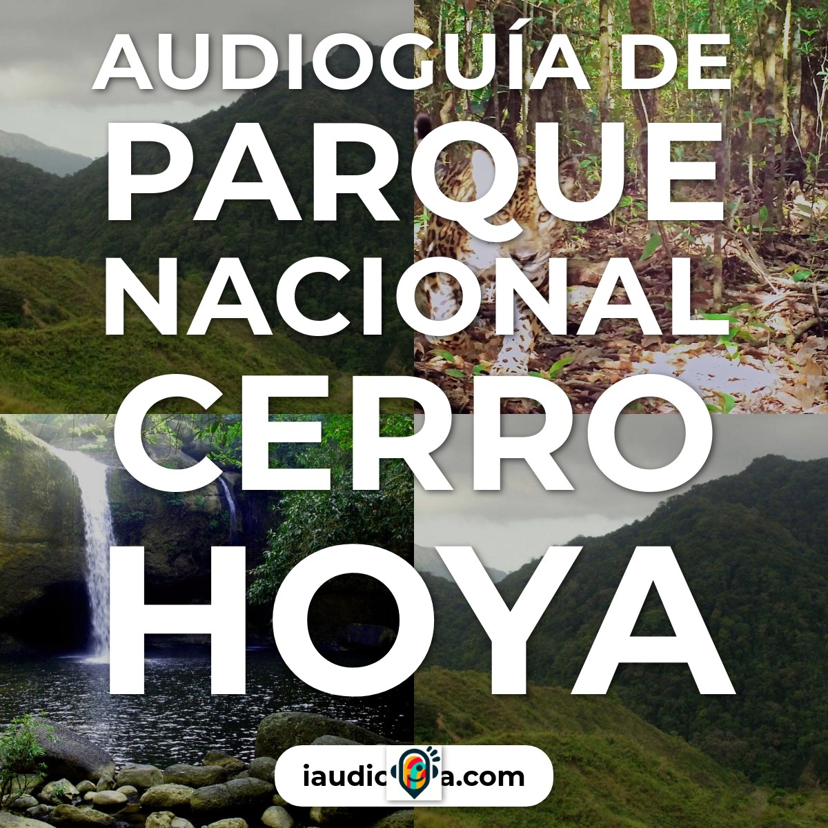 Audioguía de Parque Nacional Cerro Hoya