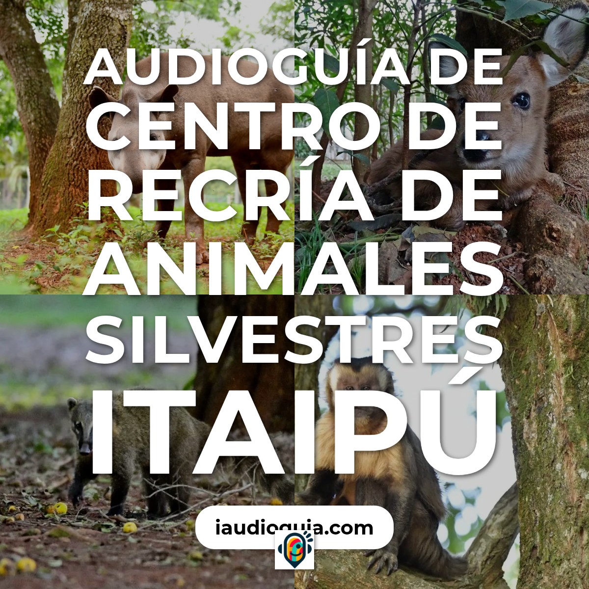 Audioguía de Centro Recria Animales Silvestres Itaipu