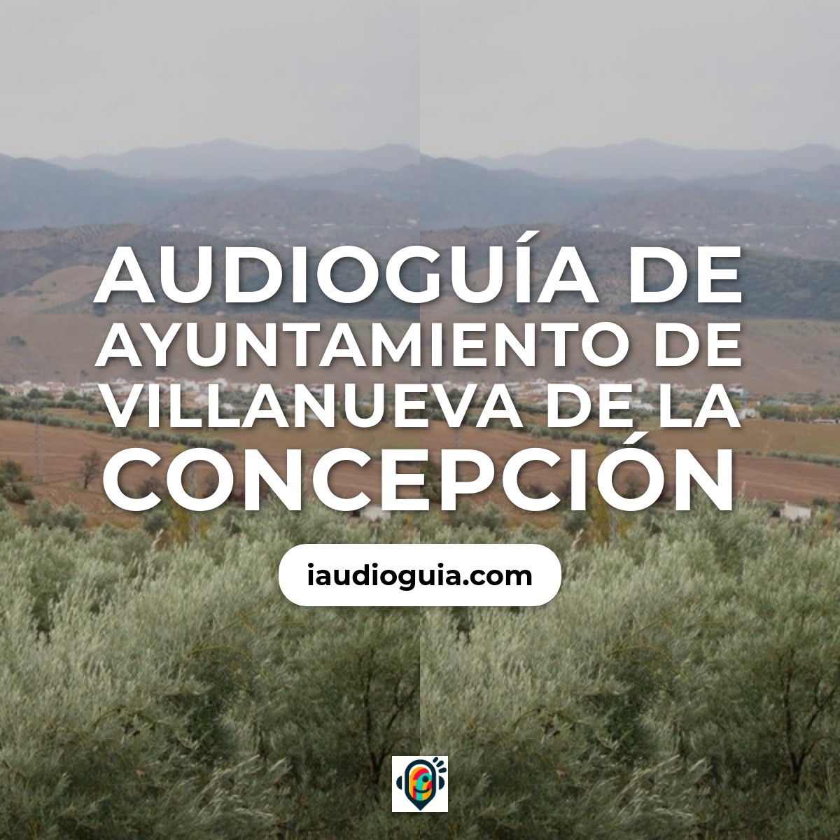 Audioguía de Ayuntamiento Villanueva Concepcion