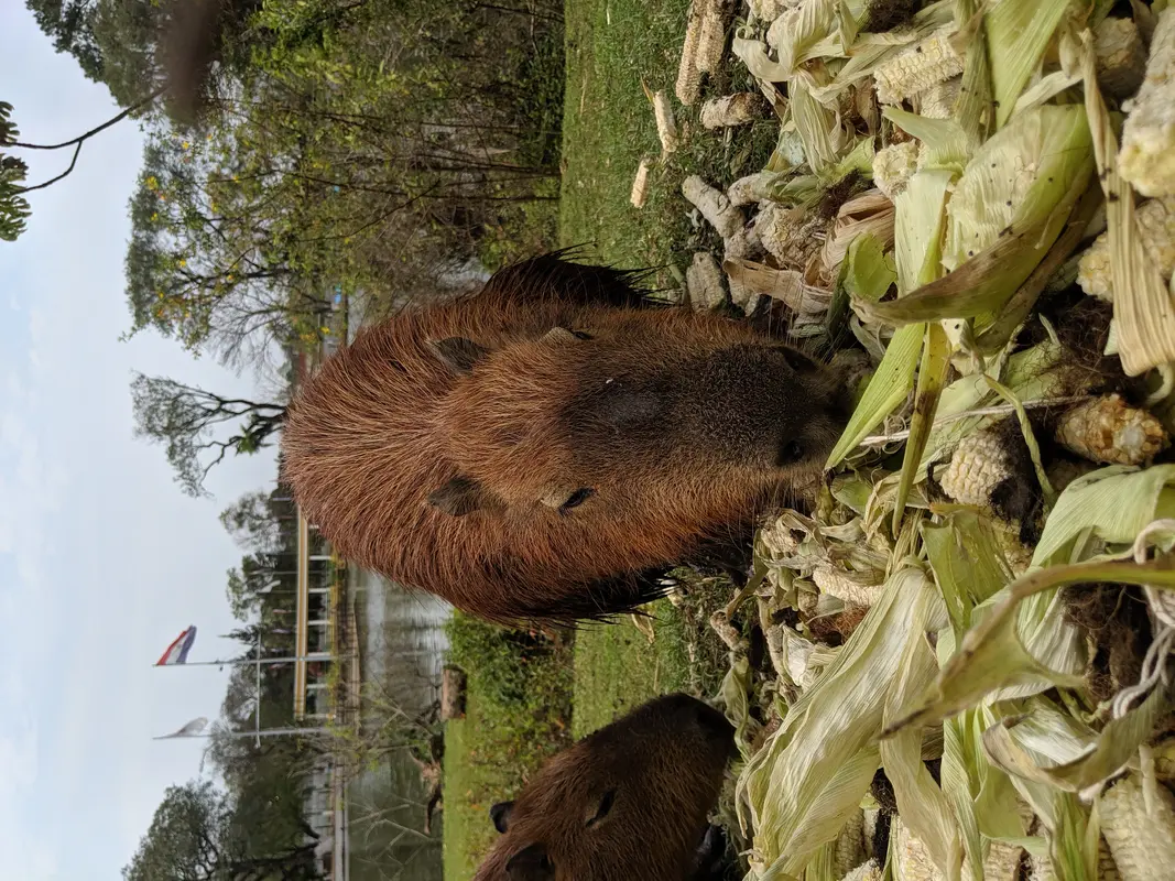 Audioguía de Parque Manuel Ortiz Guerrero