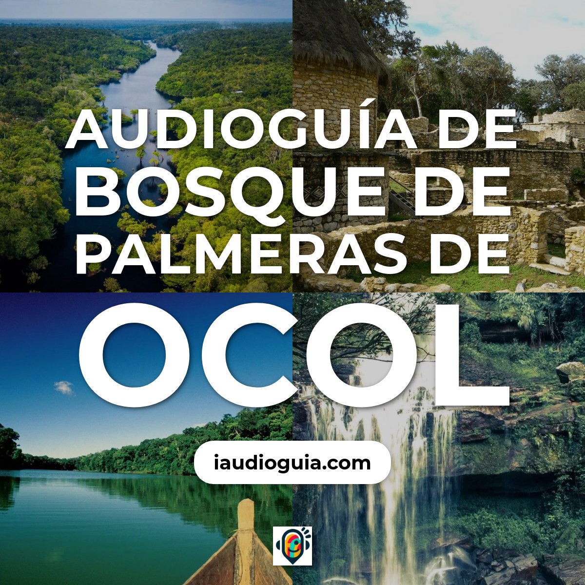 Audioguía de Bosque Palmeras Ocol