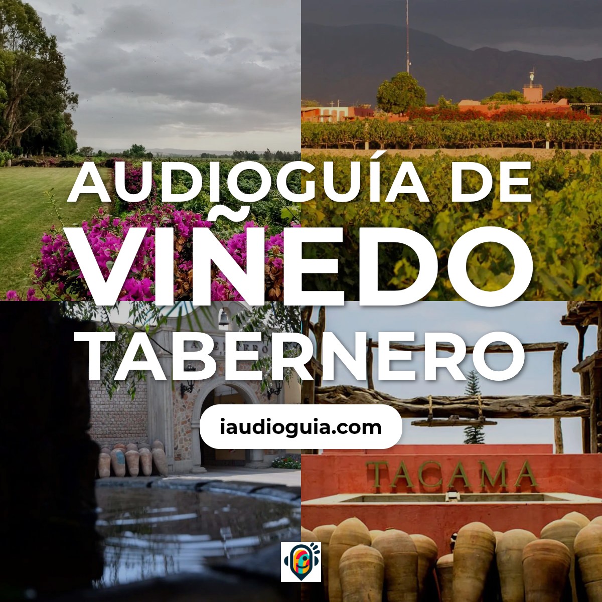 Audioguía de Vinedo Tabernero