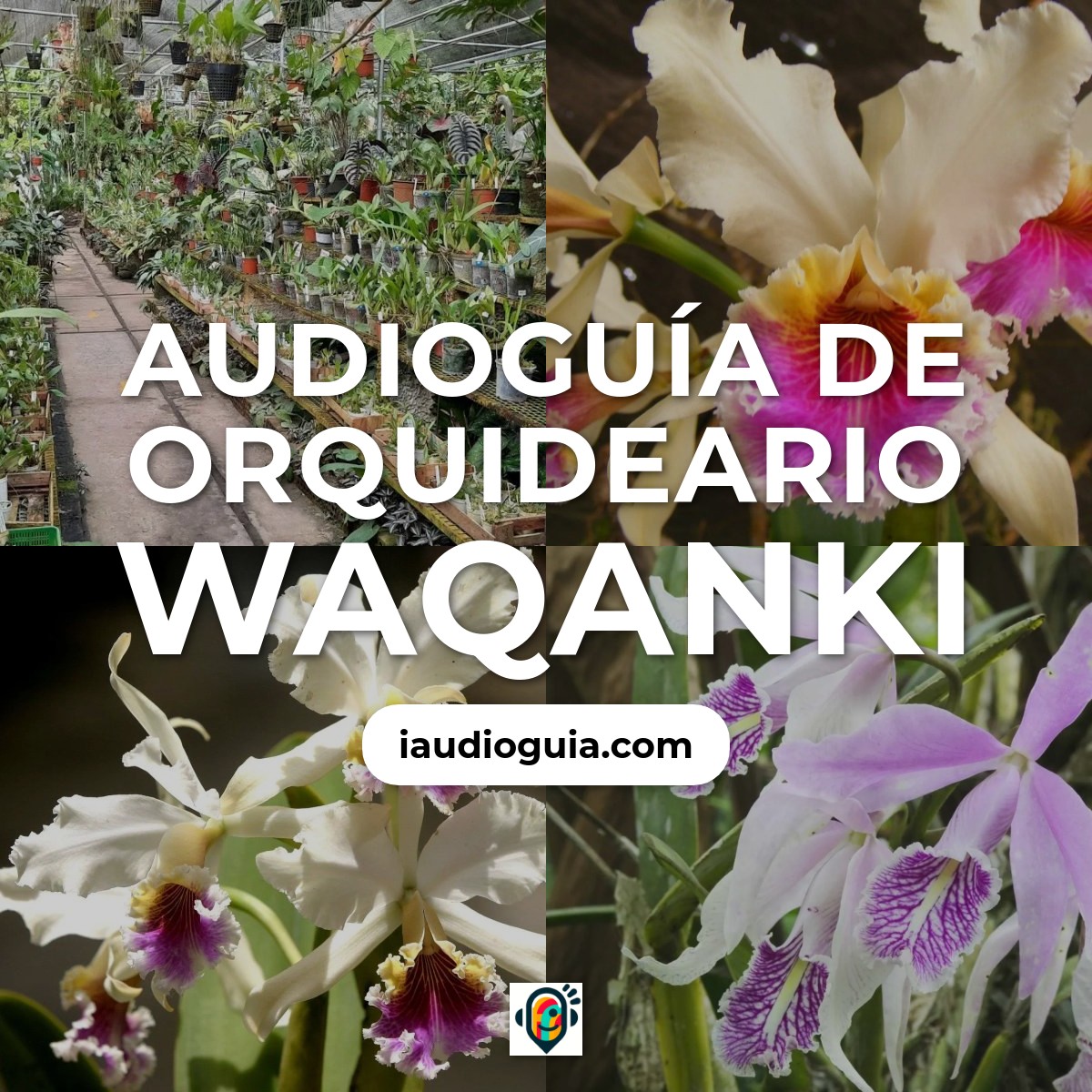 Audioguía de Orquideario Waqanki